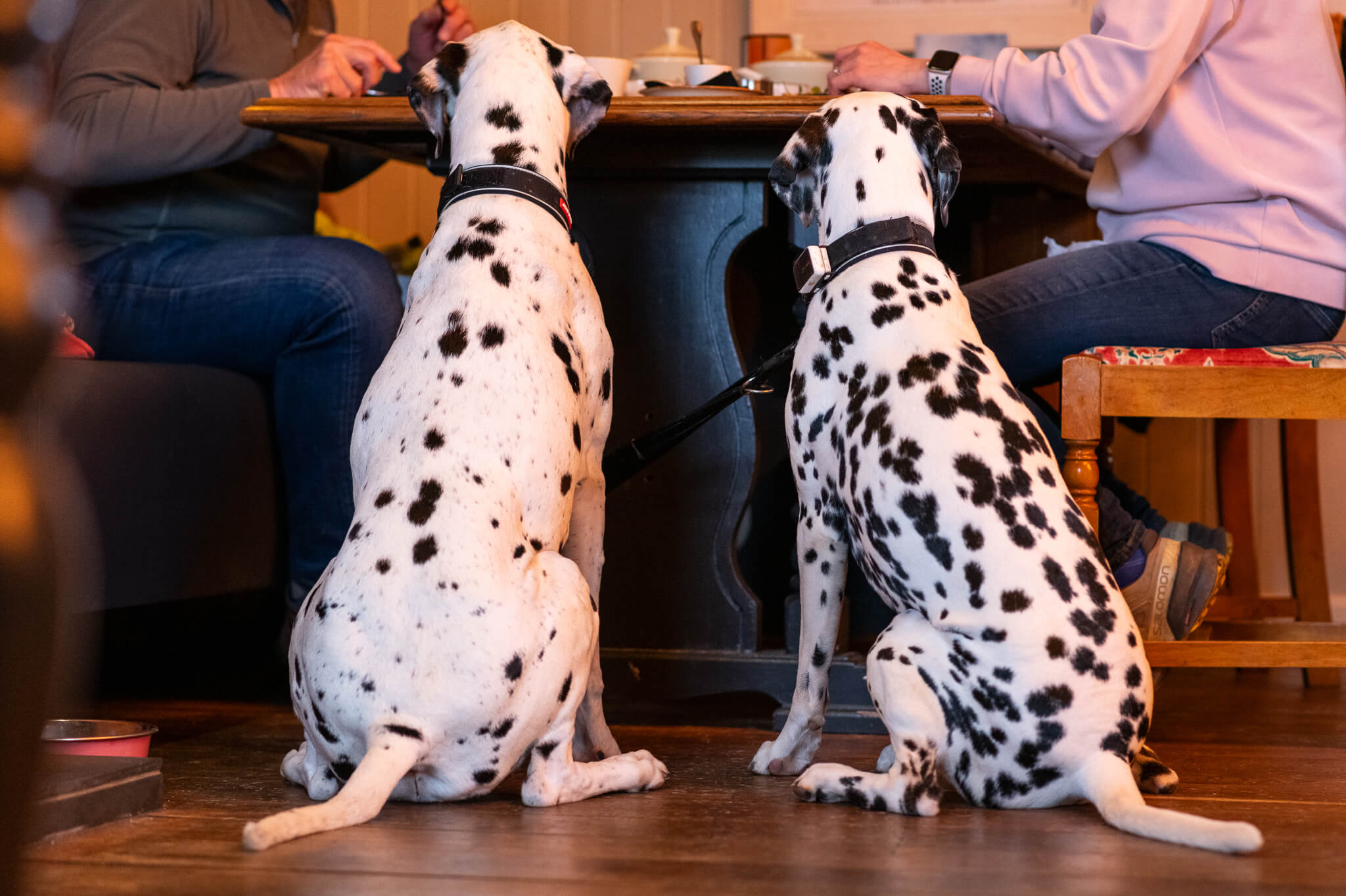 The George Hotel Amesbury A Pet Friendly Hotel